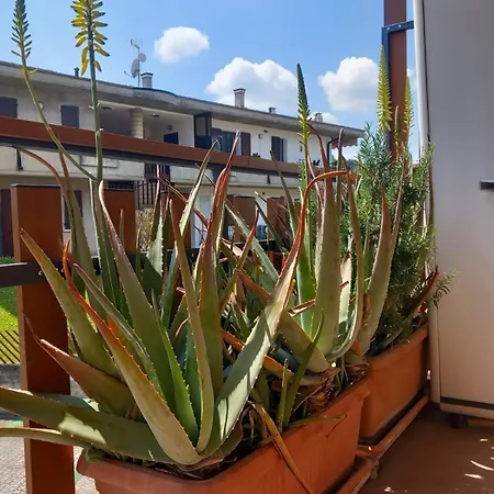 Apartamento Casa D'iseo 2 Passi Dal *